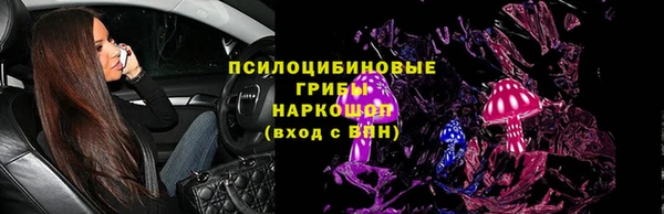 соль ск Арсеньев