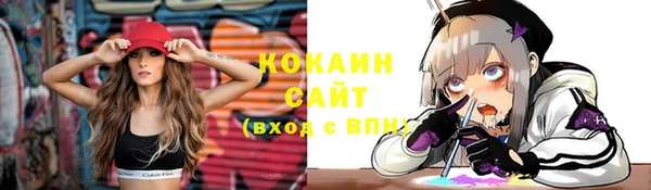 Альфа ПВП Аркадак