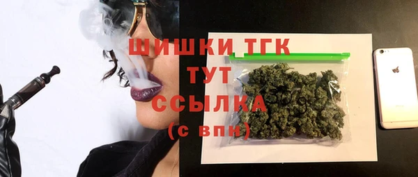 Альфа ПВП Аркадак