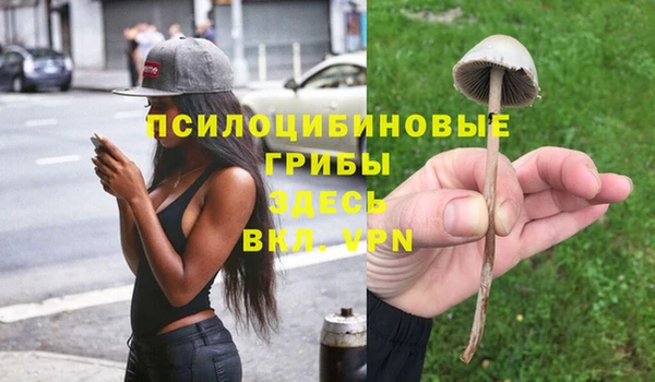 соль ск Арсеньев