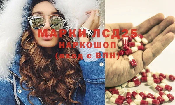 ПСИЛОЦИБИНОВЫЕ ГРИБЫ Новозыбков