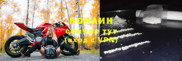 соль ск Арсеньев