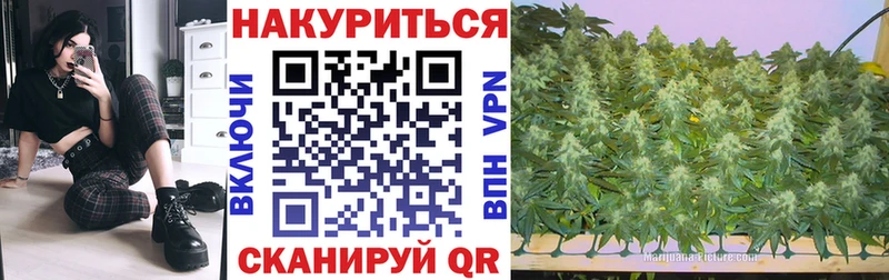Канабис гибрид Салехард